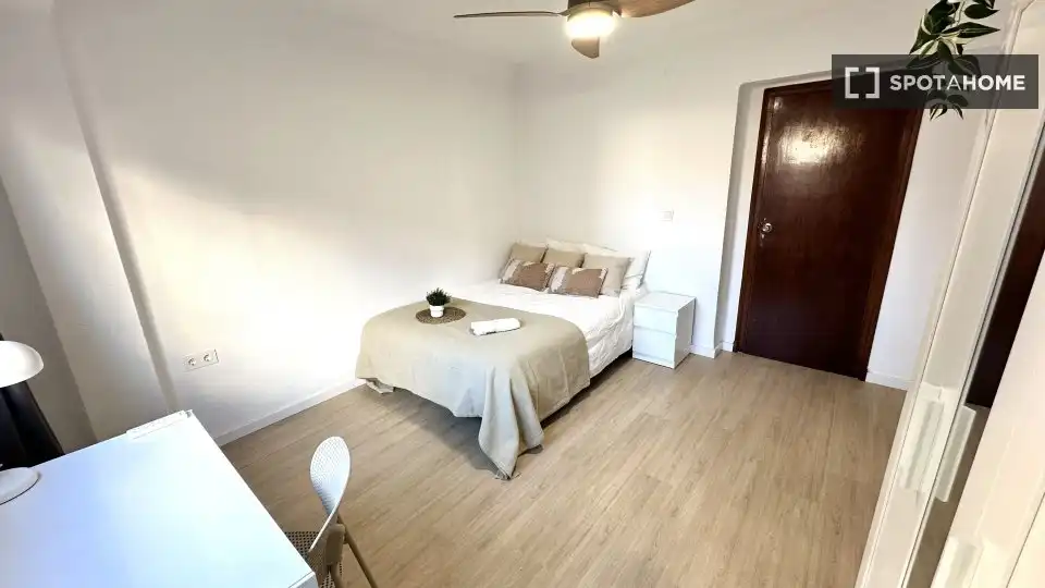 Stanza in affitto, Valencia