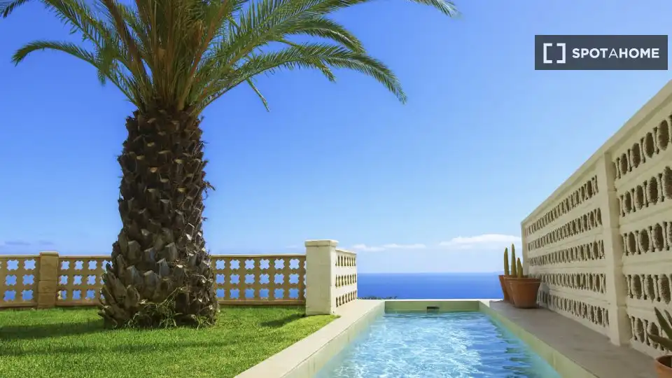 Habitación 230 m², La Orotava