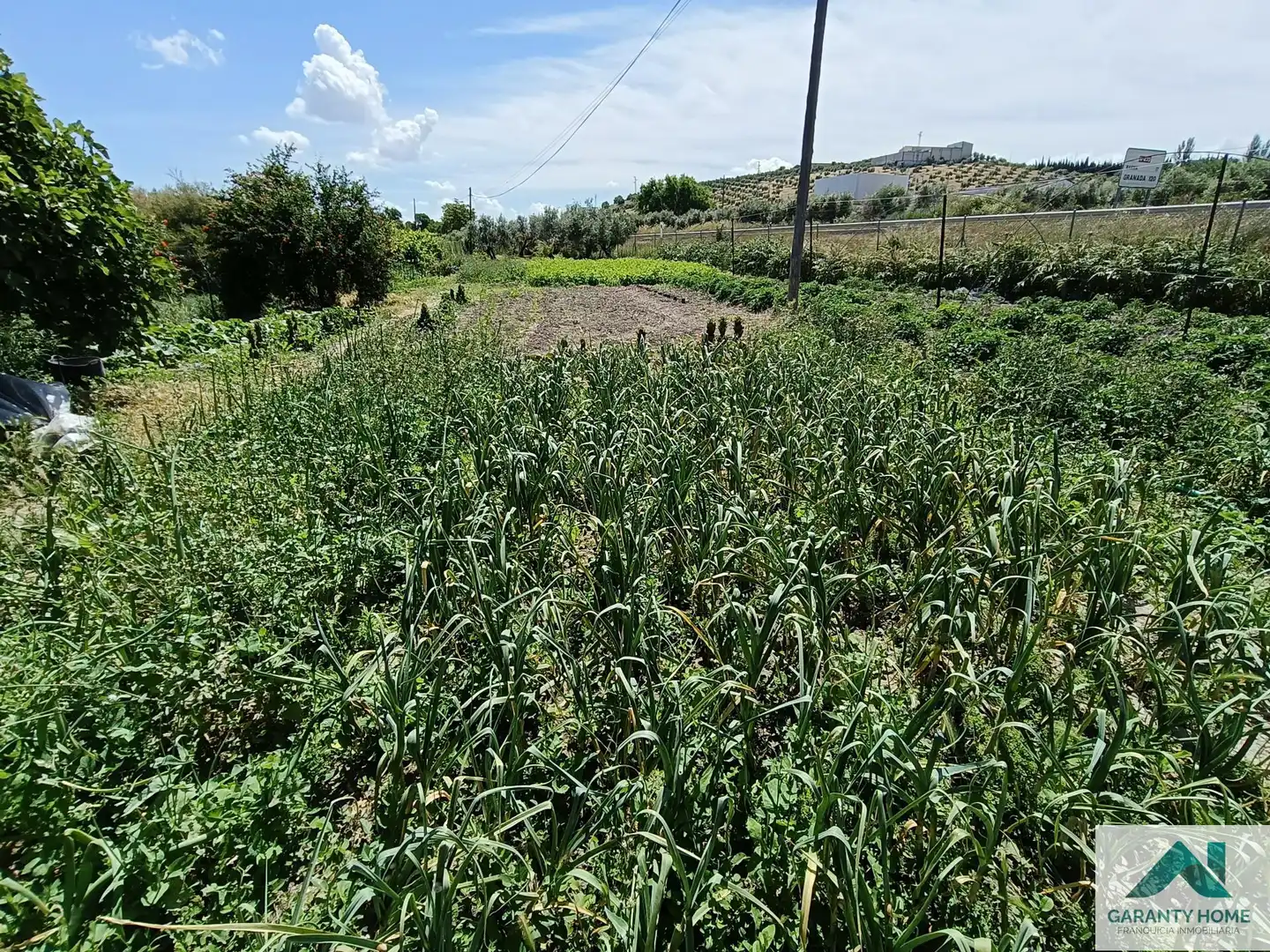 Piso de 225 m² en Castro del Río