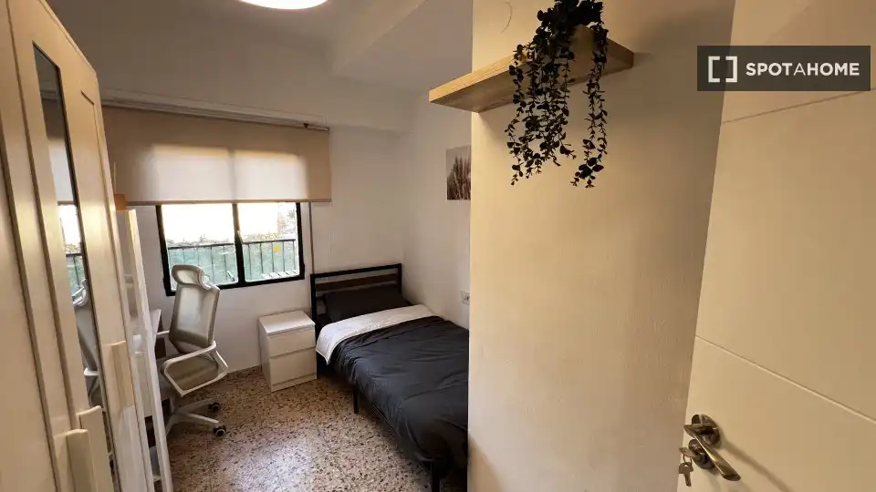 Stanza in affitto, Valencia