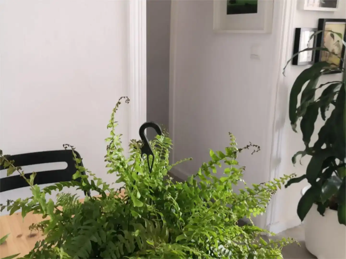 Habitación 80 m², Málaga