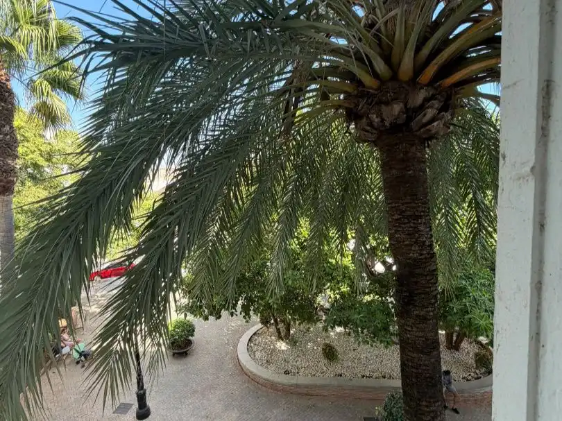 Stanza in affitto, Marbella