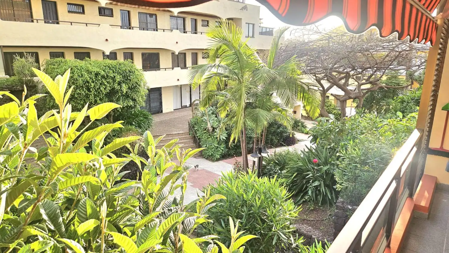 Pis de 29 m² a Puerto de la Cruz