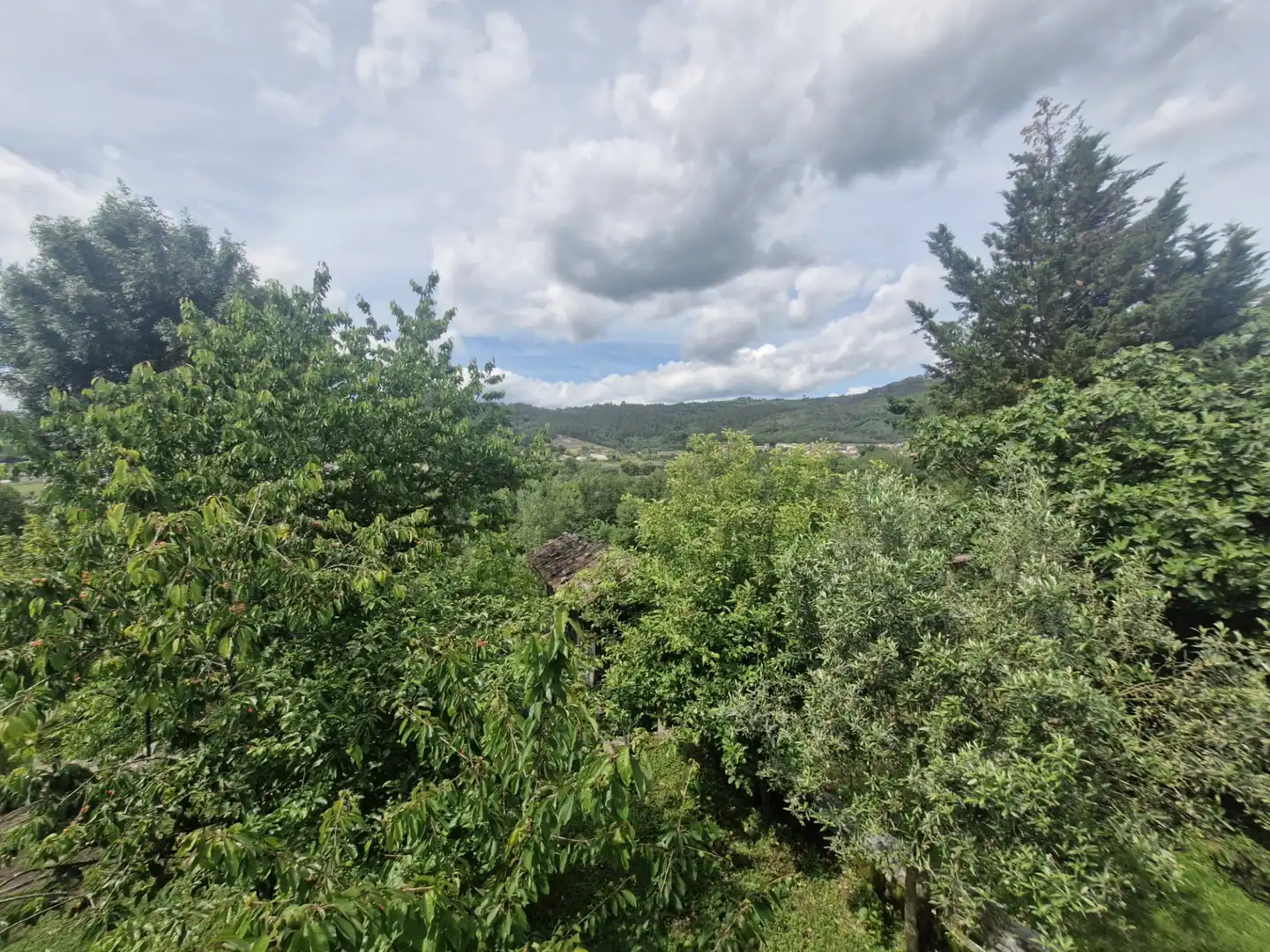 Piso de 40 m² en Ourense