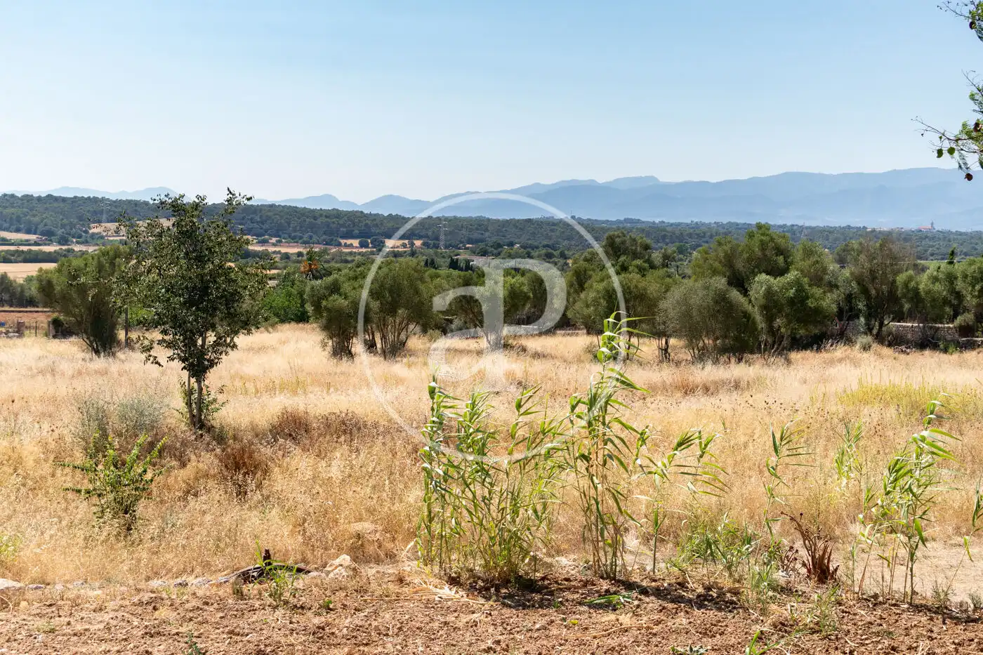 Piso de 290 m² en Sencelles