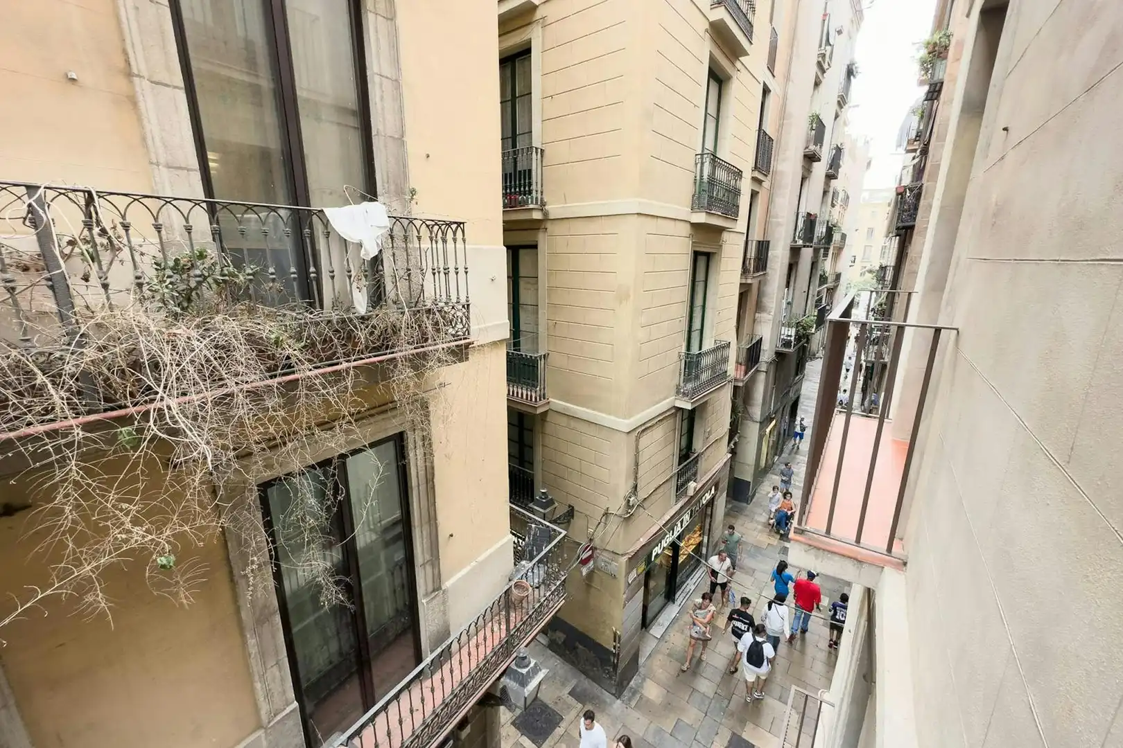 Stanza in affitto, Barcellona