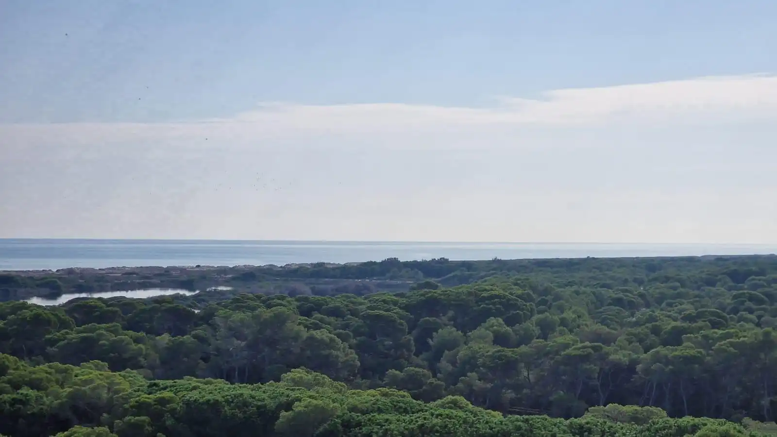 Piso de 83 m² en Valencia