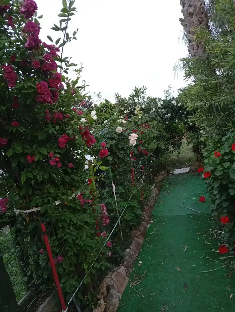 Piso de 100 m² en Coripe