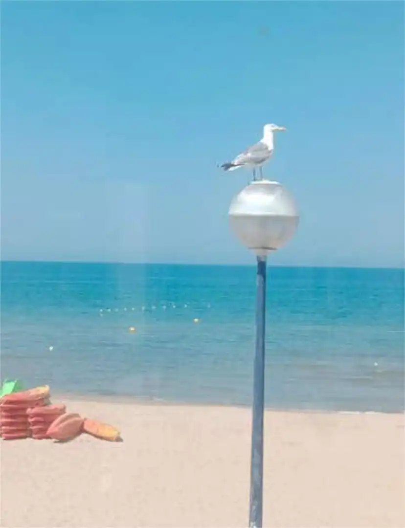 Pis de 70 m² a Miramar