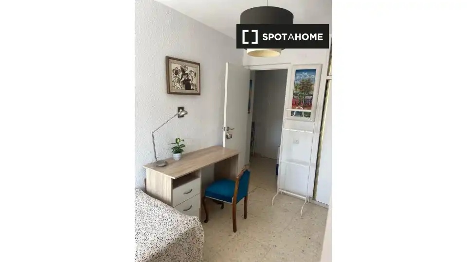Habitació de lloguer, Alacant