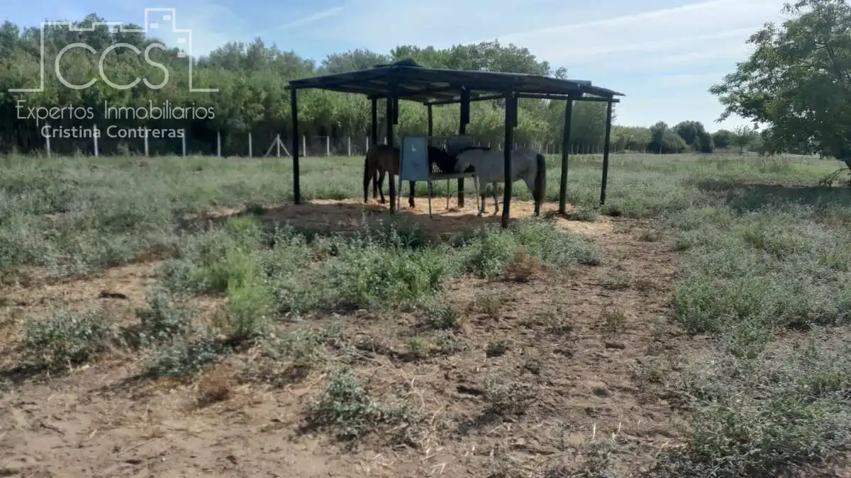 Casa de 100 m² en Almonte