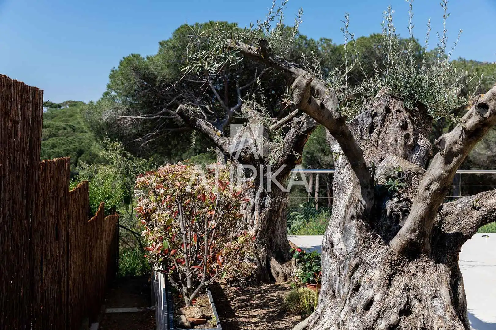 Appartamento 420 m² a Castell d'Aro, Platja d'Aro i s'Agaró