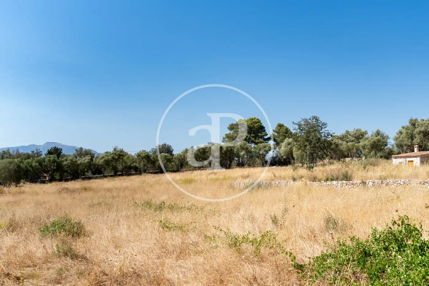 Piso de 290 m² en Sencelles