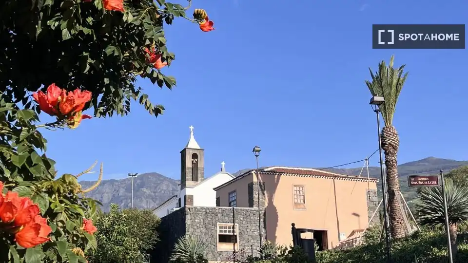 Habitación 216 m², La Orotava