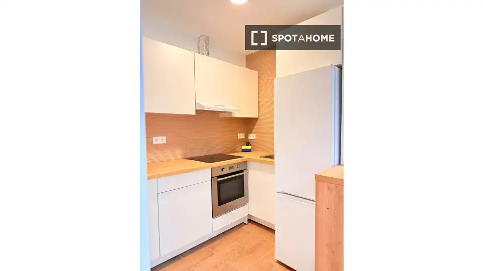Habitación 58 m², Granada