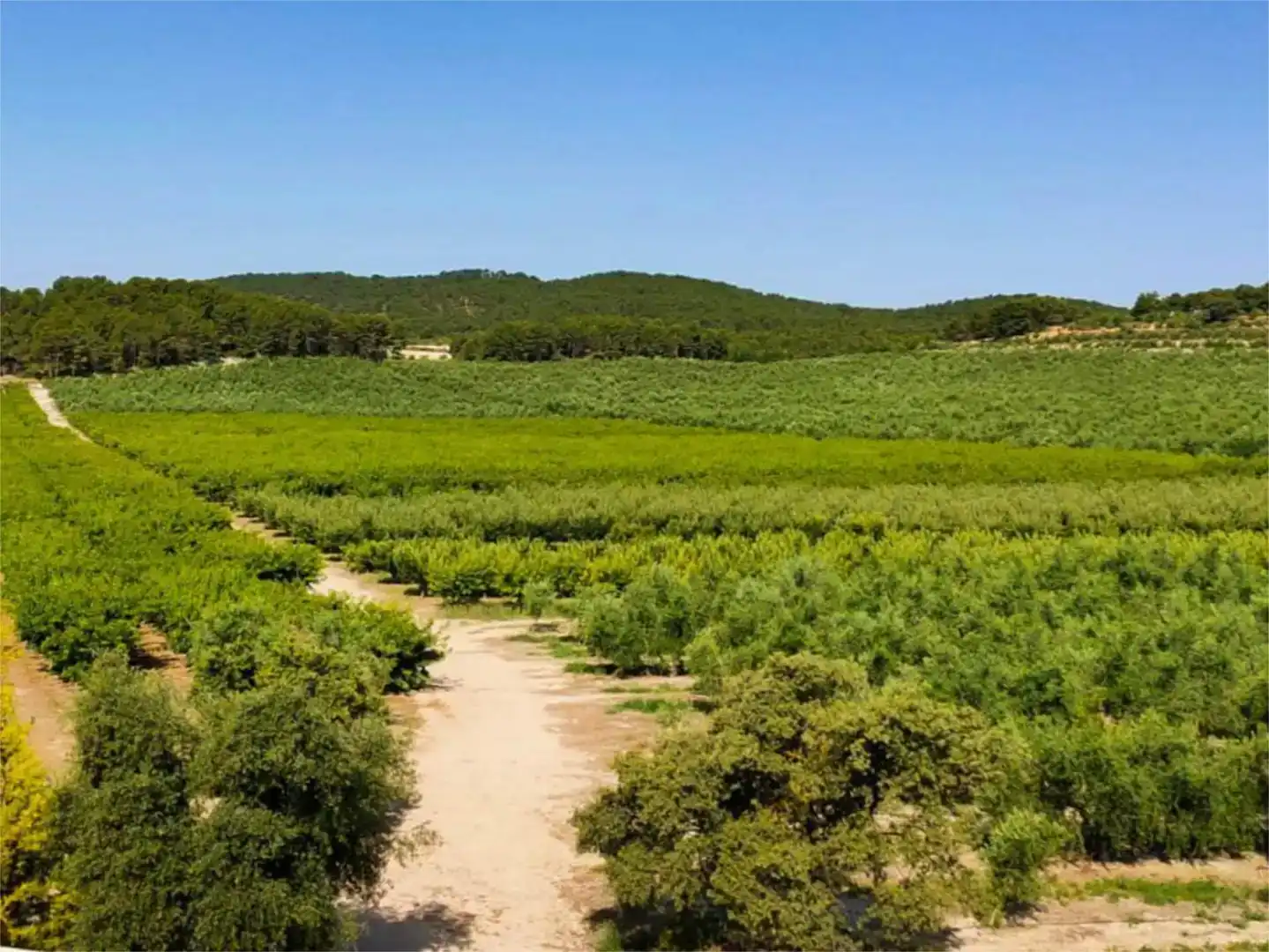 Piso de 560 m² en Alcoy