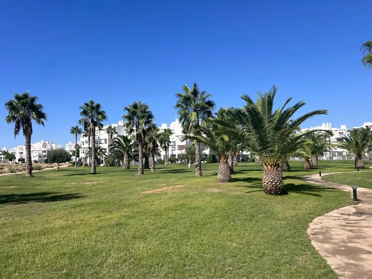 House 53 m² in Torre Pacheco