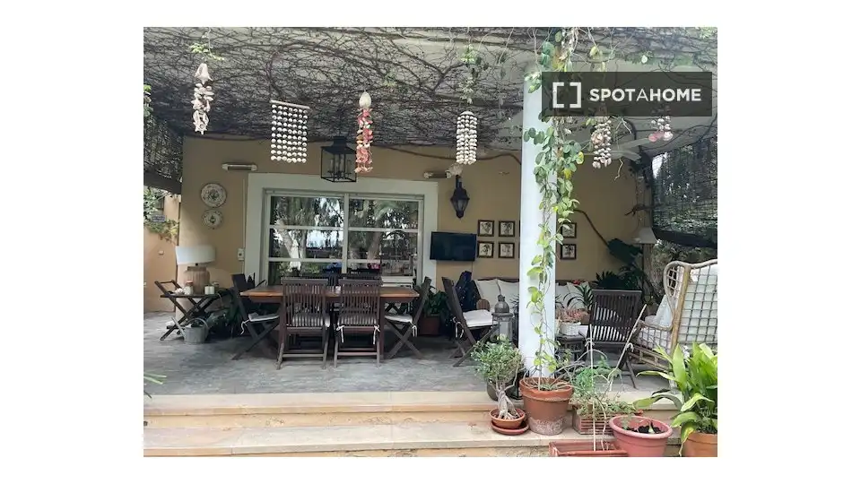 Habitació de lloguer, Alacant