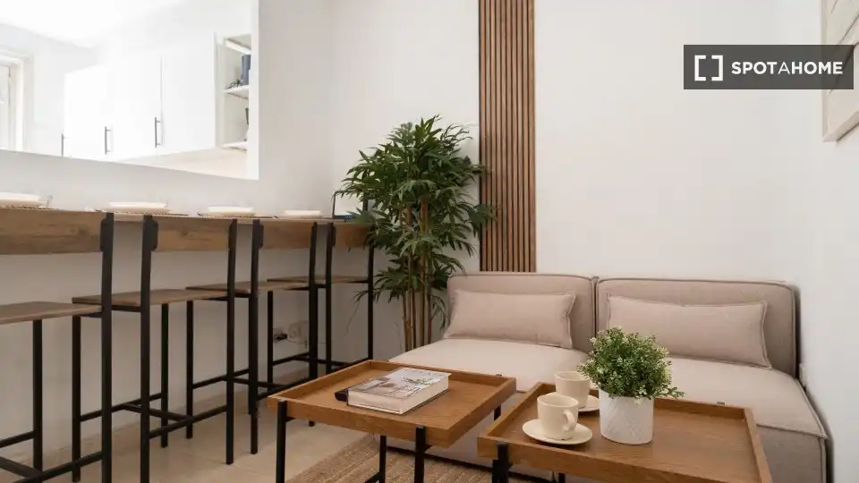 Chambre à louer, Madrid