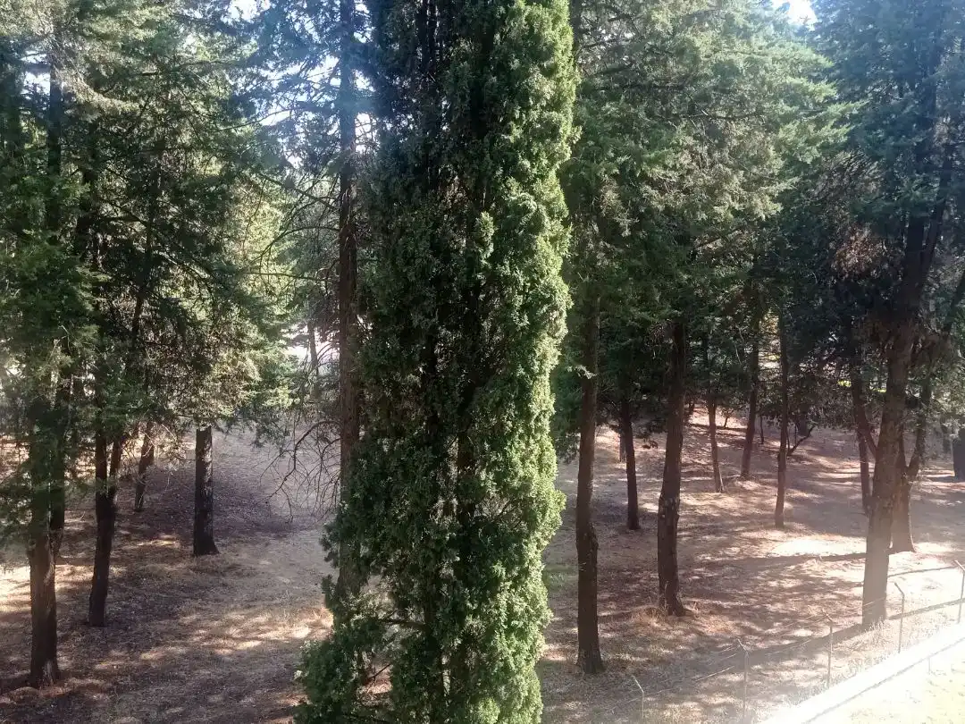 Habitació 125 m², Guadalajara