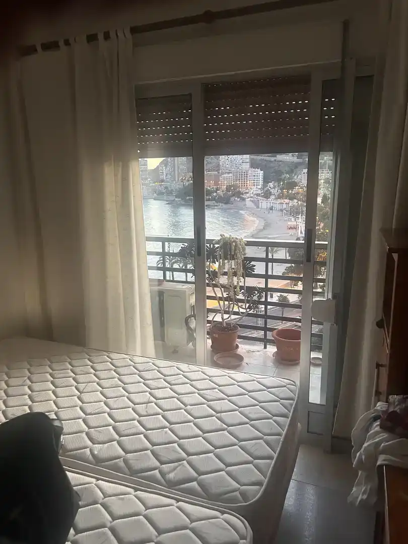 Habitación 60 m², Alicante
