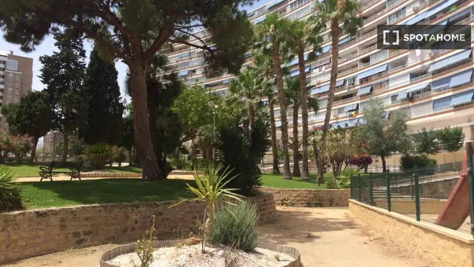 Habitación 52 m², Alicante