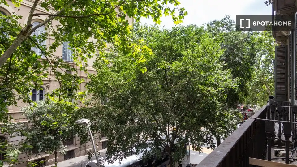 Stanza in affitto, Barcelona