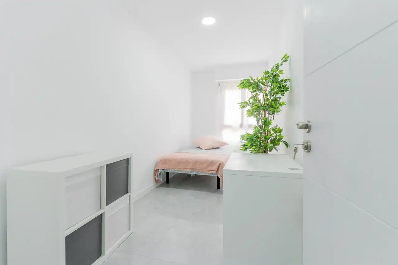 Habitación 285 m², Castellón de la Plana