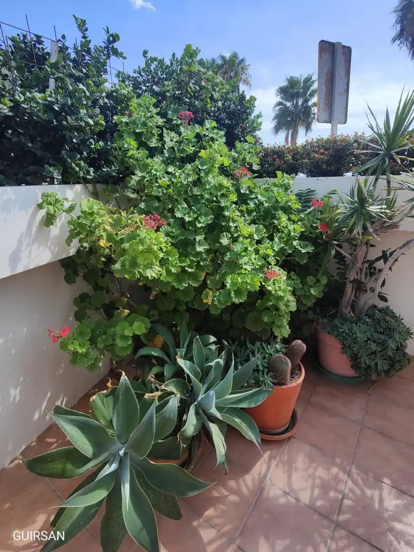 Piso de 110 m² en Almuñécar
