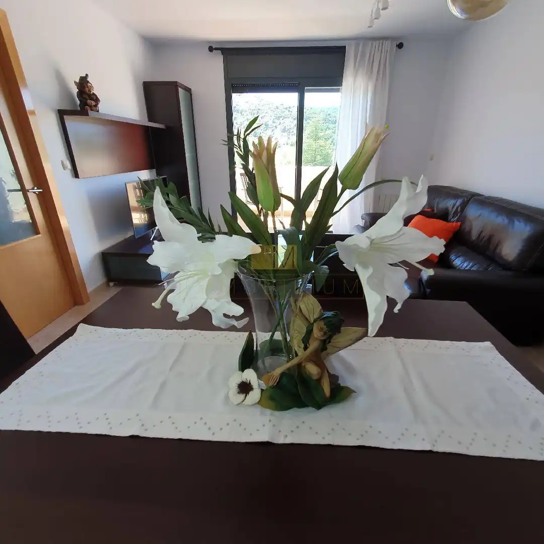 Piso de 85 m² en Aínsa-Sobrarbe