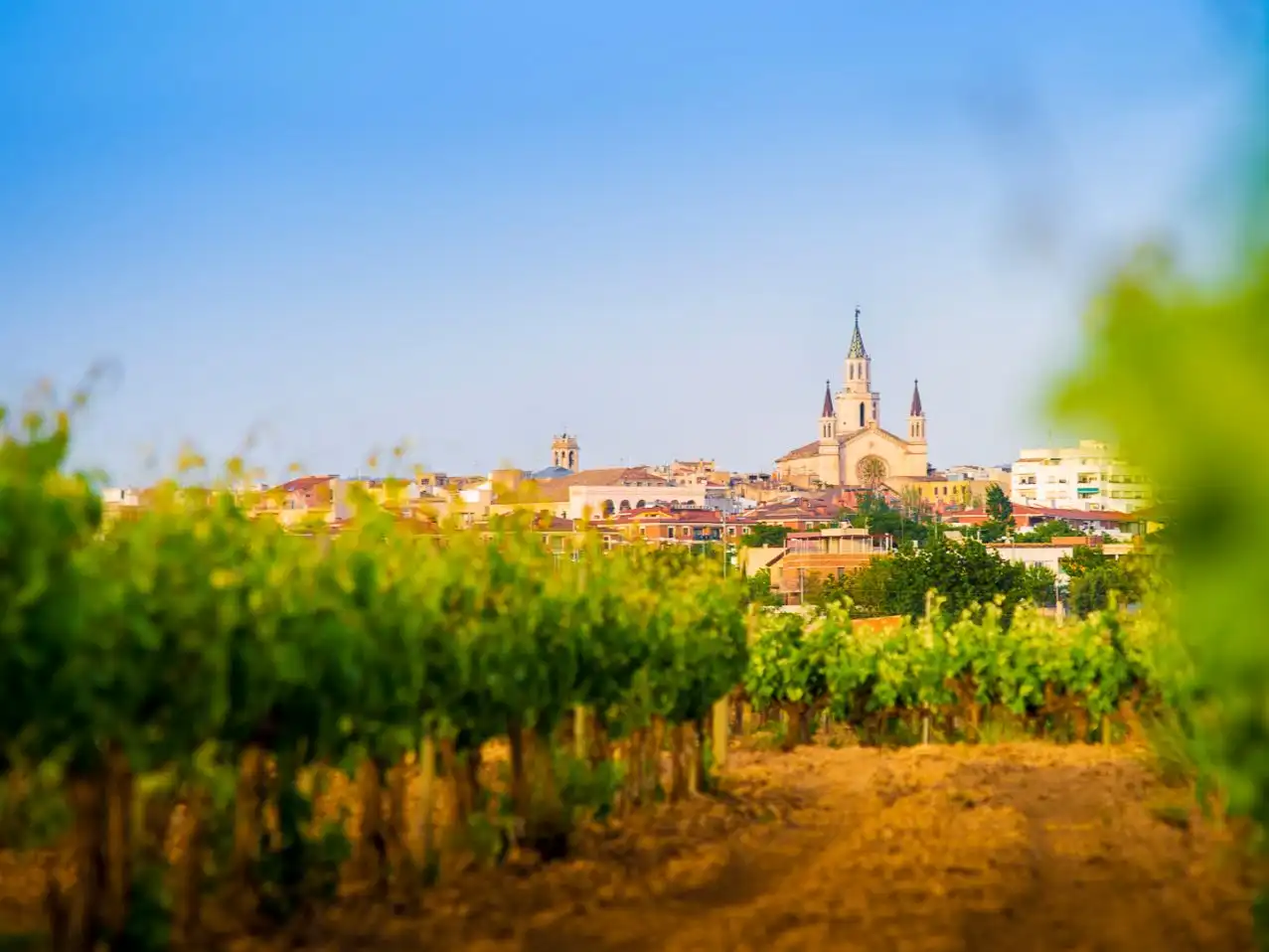 Habitación 81 m², Vilafranca del Penedès