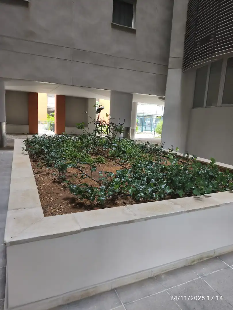 Habitación 80 m², Sevilla