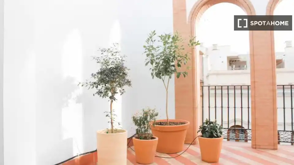 Habitación 35 m², Sevilla