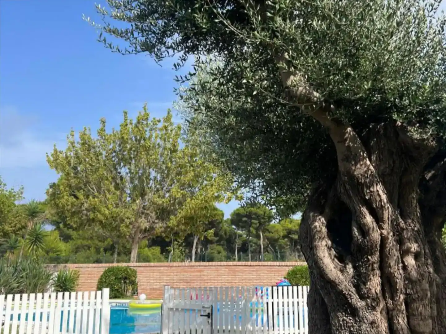 Piso de 450 m² en Castellón de la Plana