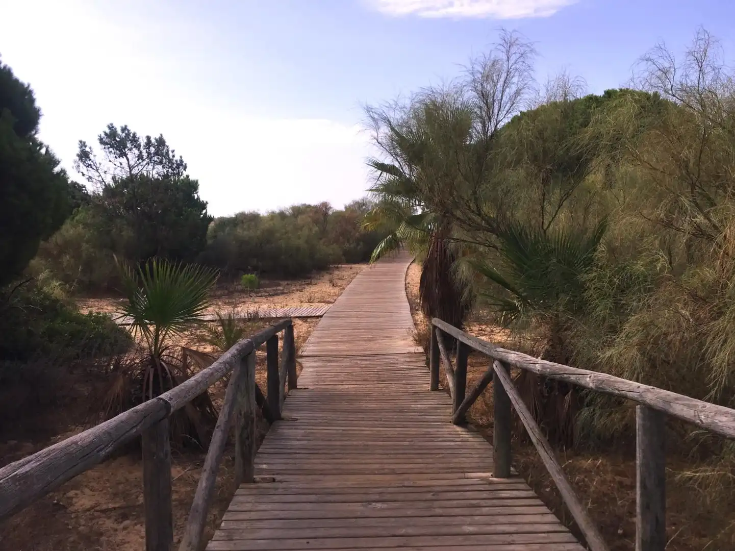 Casa de 90 m² en Cartaya