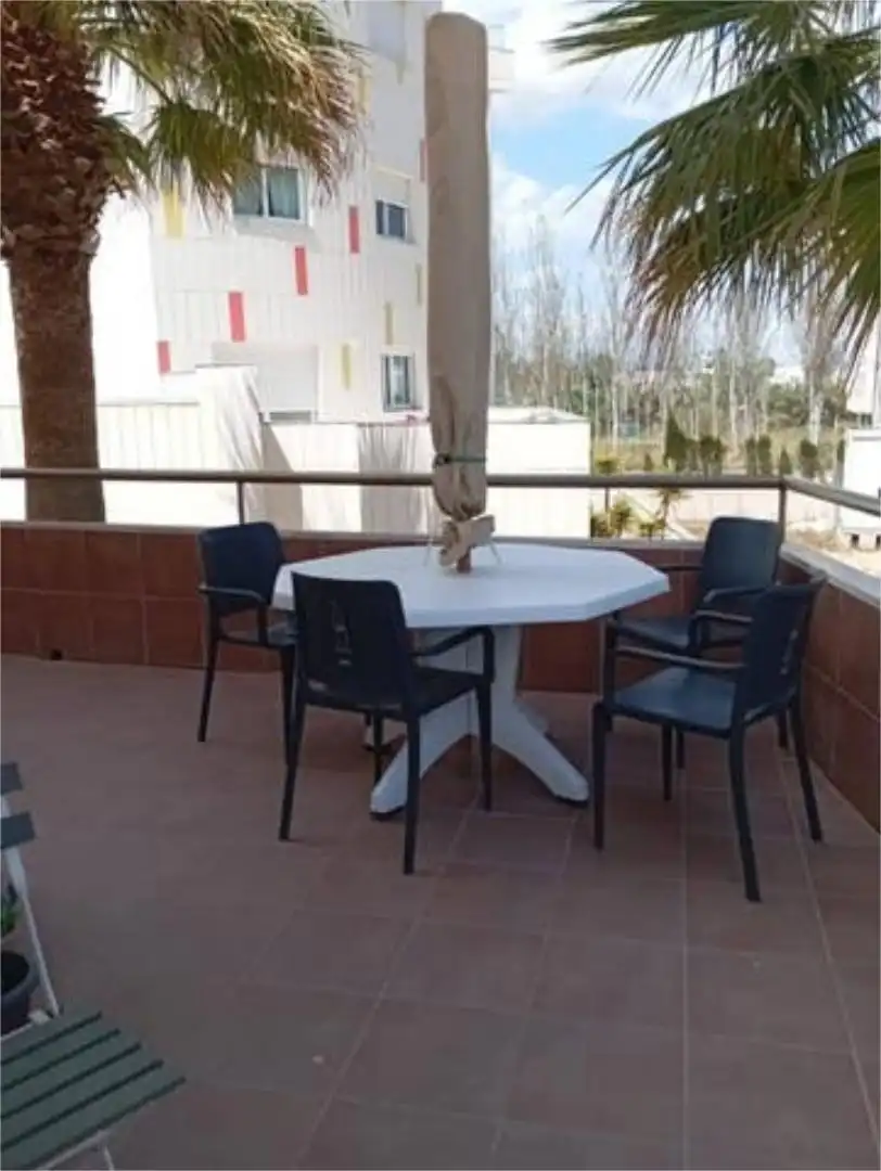 Casa de lloguer, Oliva