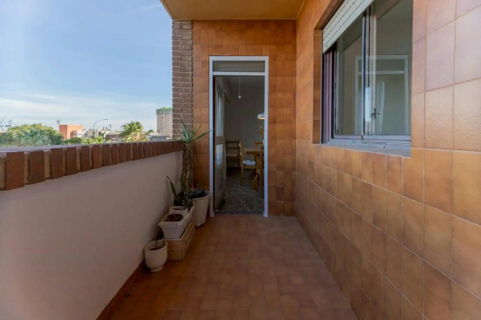 Stanza in affitto, Valencia