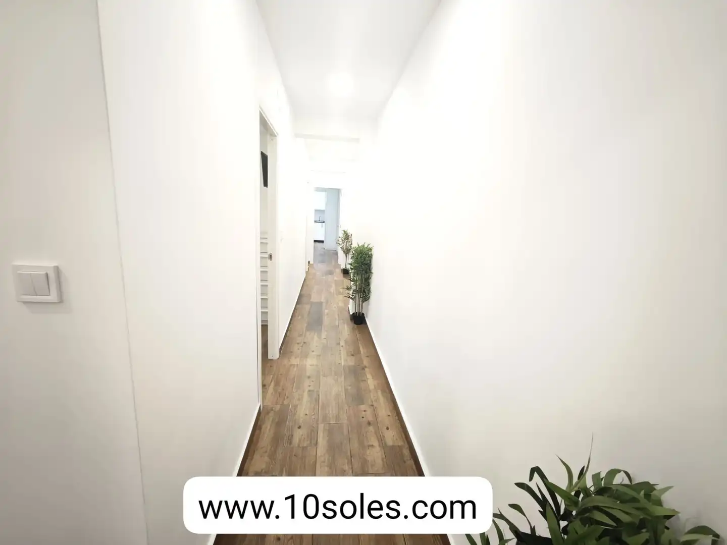Habitación 50 m², Orihuela