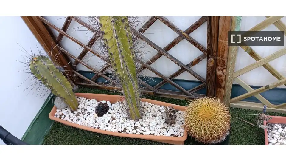 Habitación en alquiler, Las Palmas de Gran Canaria