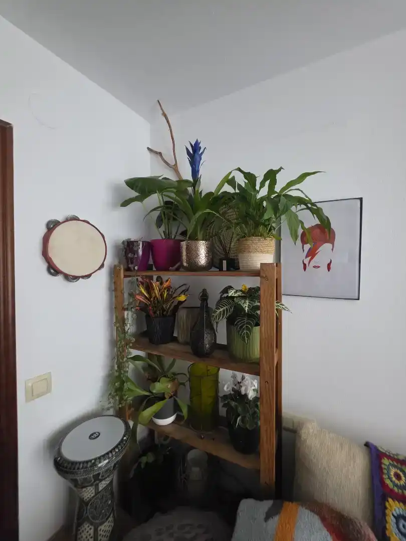 Habitació de lloguer, Santiago de Compostel·la