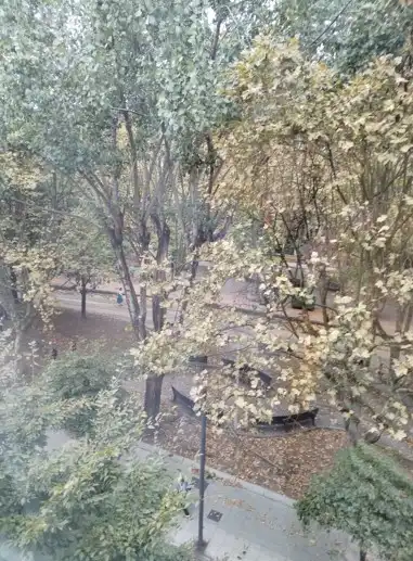 Pis de 37 m² a Gijón