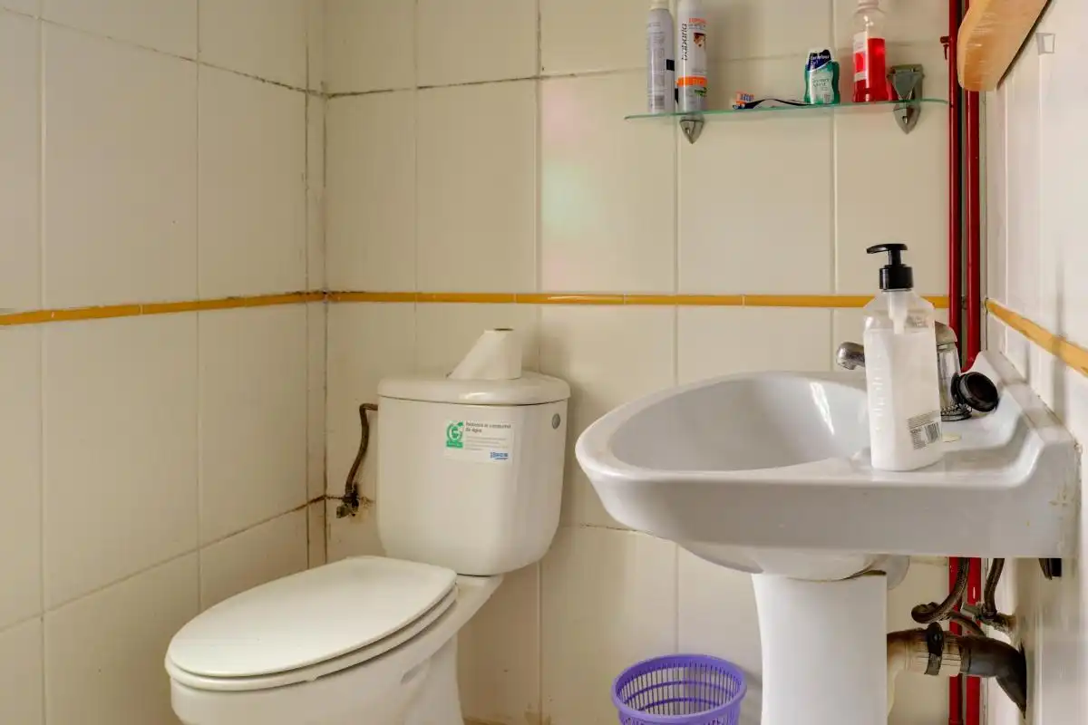 Habitació de lloguer, Saragossa