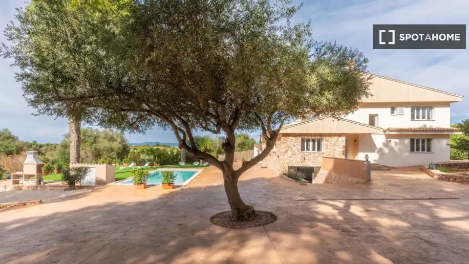Habitación 288 m², Palma
