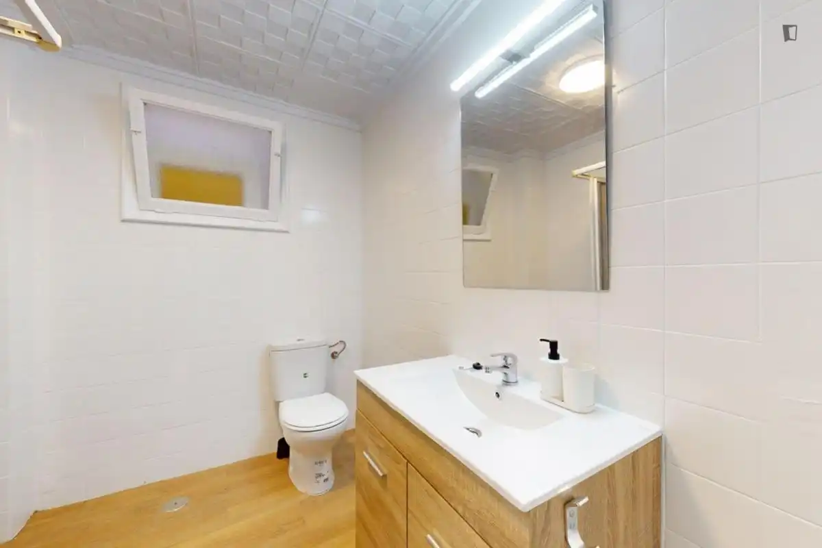 Habitació de lloguer, Elx