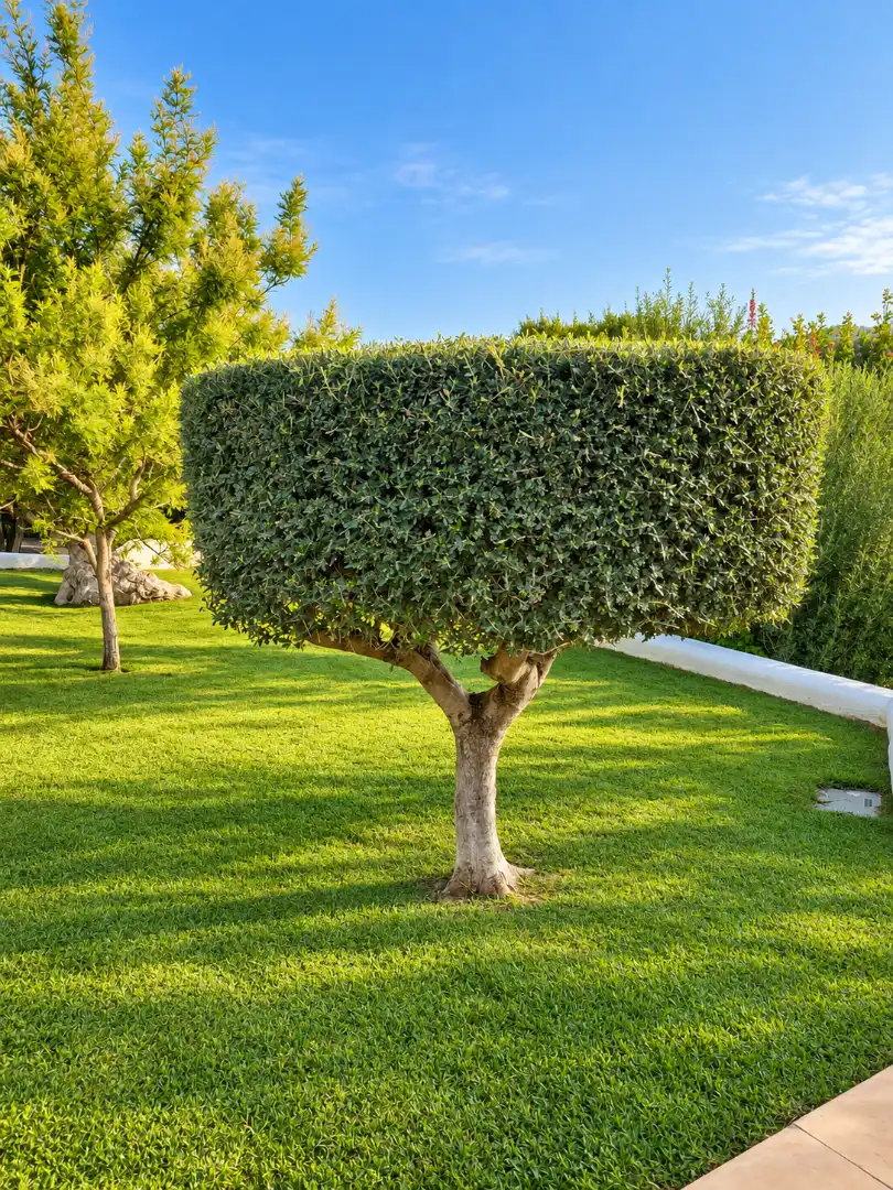Casa de 140 m² en Andratx