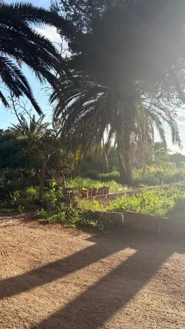Piso de 15 m² en Palma