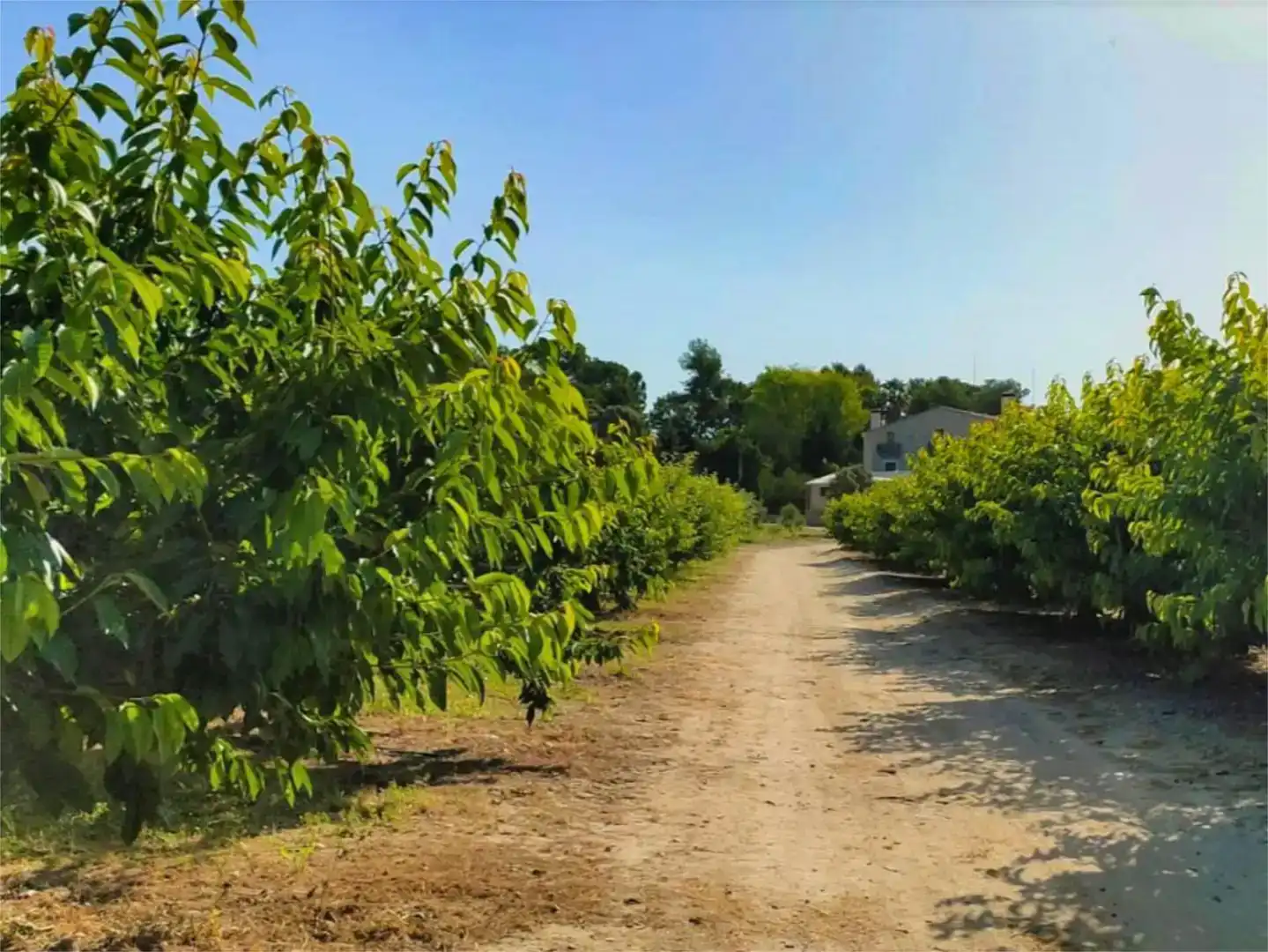Piso de 560 m² en Alcoy