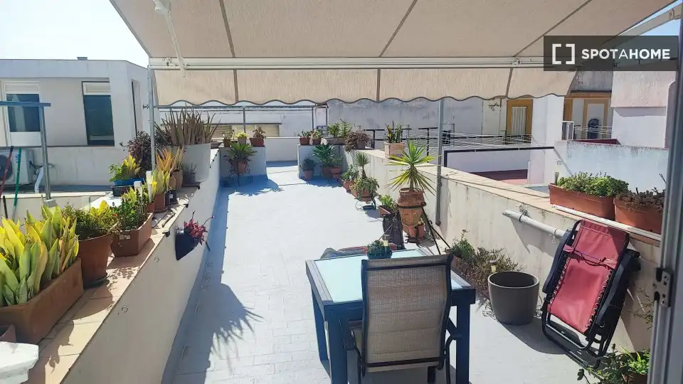 Habitación 25 m², Cádiz