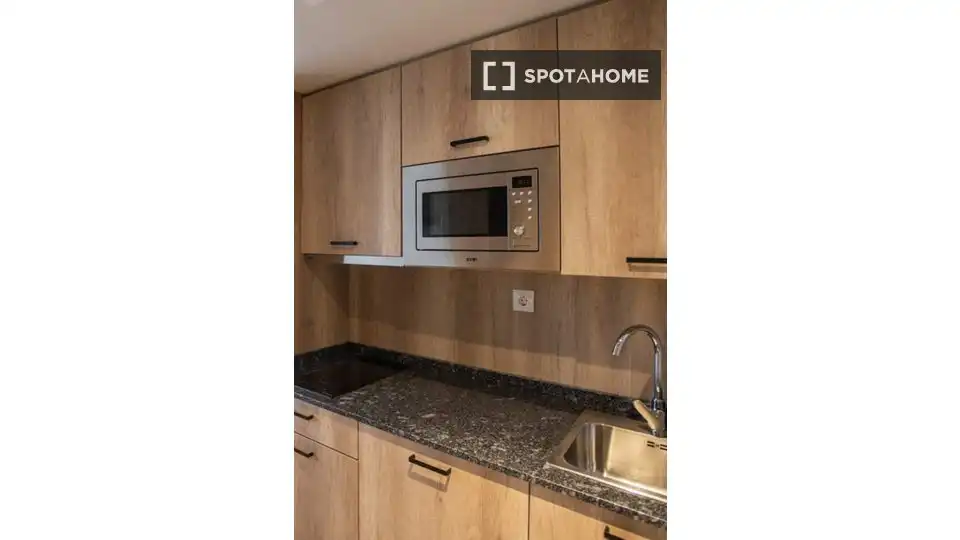 Habitación en alquiler, Bilbao