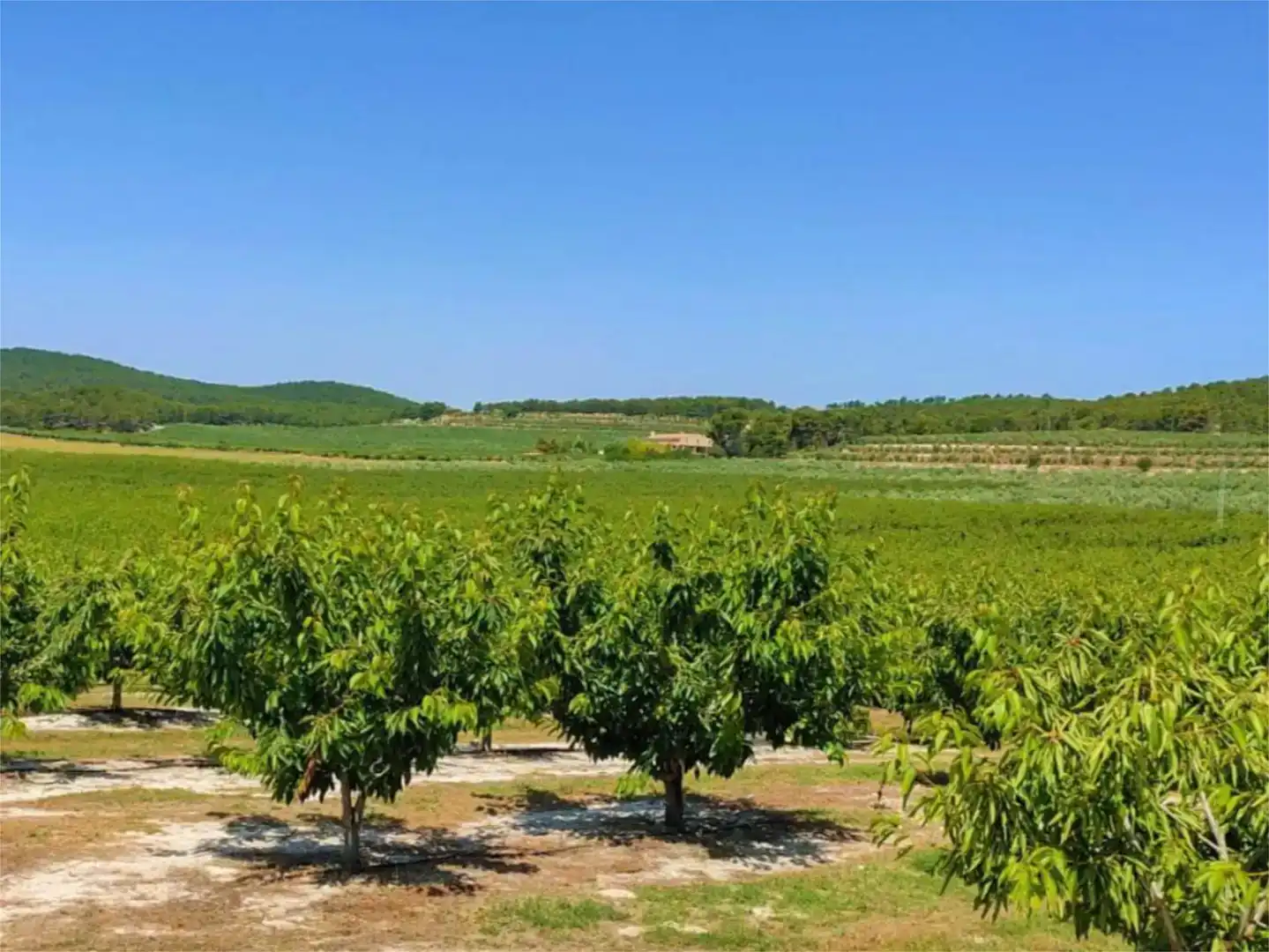 Piso de 560 m² en Alcoy